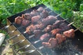 Shish kebab barbecue on nature Royalty Free Stock Photo