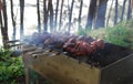 Shish kebab barbecue on nature. Royalty Free Stock Photo