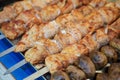 Shish kebab from chicken meat roasted on a grill Royalty Free Stock Photo