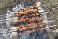 Shish kebab cooking