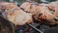 Shish kebab on grill outside. Fried barbecue kebab, meat skewers close-up.