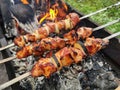 Shish kebab made from pieces of meat with onions on skewers Royalty Free Stock Photo