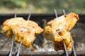 The shish kebab from meat prepares on charcoal. Pieces of meat are on skewers Royalty Free Stock Photo
