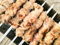 Shish kebab on metal sticks roasted on the grill