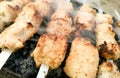 Shish kebab on metal sticks roasted on the grill