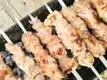 Shish kebab on metal sticks roasted on the grill