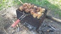 Shish kebab in the nature, barbecue Royalty Free Stock Photo