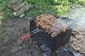 Shish kebab in the nature, barbecue Royalty Free Stock Photo