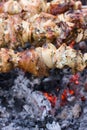 Shish Kebab Over An Ember