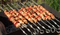 Shish kebab from pork with tomatoes Royalty Free Stock Photo