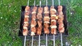 Shish kebab roasted barbecue on the grass picnic