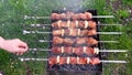 Shish kebab roasted on the grass picnic