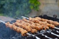 Shish kebab roasting on the grill. BBQ party. Close-up. Marinated shashlik preparing on a barbecue grill over charcoal Royalty Free Stock Photo