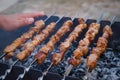 Shish kebab roasting on the grill. BBQ party. Close-up. shish kebab on skewers Royalty Free Stock Photo