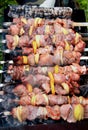 Shish kebab (shashlik)