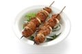 Shish kebab on skewers