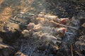 Shish kebab on skewers is fried on a brazier made of stones in the forest Royalty Free Stock Photo