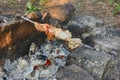 Shish kebab on skewers is fried on a brazier made of stones in the forest Royalty Free Stock Photo
