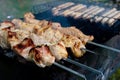 Shish kebab on skewers is fried on coals Royalty Free Stock Photo