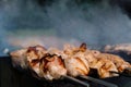 Shish kebab on skewers is fried on coals. Outdoor recreation  cooking on the grill.Isolation in nature Royalty Free Stock Photo