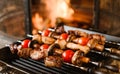 Shish kebab or skewers of meat and vegetables on the grill over background of the bonfire. Healthy food. Hot meat dishes, close up Royalty Free Stock Photo