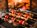 Shish kebab or skewers of meat and vegetables on the grill over background of the bonfire. Healthy food. Hot meat dishes, close up Royalty Free Stock Photo