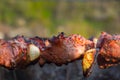 Shish kebab on skewers Royalty Free Stock Photo
