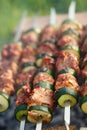 Shish kebab with vegs and mix of spices on bbq Royalty Free Stock Photo