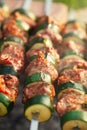 Shish kebab with vegs and mix of spices on bbq Royalty Free Stock Photo