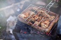 Shish kebabs from chicken wings are fried in the field. A classic barbecue in the open air. The process of frying meat on charcoa Royalty Free Stock Photo