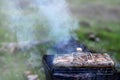Shish kebabs from chicken wings are fried in the field. A classic barbecue in the open air. The process of frying meat on charcoa Royalty Free Stock Photo