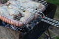 Shish kebabs from chicken wings are fried in the field. A classic barbecue in the open air. The process of frying meat on charcoa