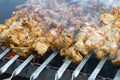 Shish kebabs on a fire, raw meat strung on skewers is fried over an open fire Royalty Free Stock Photo