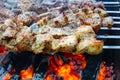 Shish kebabs on a fire, raw meat strung on skewers is fried over an open fire Royalty Free Stock Photo