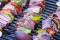 Shish Kebabs on Grill Royalty Free Stock Photo