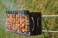 Shish Kebabs on the Grill Royalty Free Stock Photo