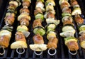 Shish Kebabs on the Grill Royalty Free Stock Photo