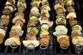 Shish Kebabs on the Grill Royalty Free Stock Photo