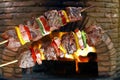 Shish kebabs - grilled Royalty Free Stock Photo