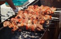 Shish kebabs pork on the grill Royalty Free Stock Photo