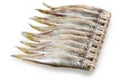 Shishamo, japanese smelt with roe Royalty Free Stock Photo