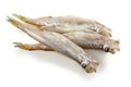 Shishamo, japanese smelt with roe