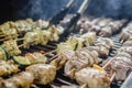 Shishkabob being grilled on a grille Royalty Free Stock Photo