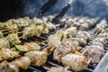 Shishkabob being grilled on a grille Royalty Free Stock Photo