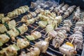 Shishkabob being grilled on a grille Royalty Free Stock Photo