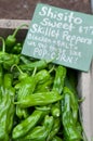 Shisito Sweet Skillet Peppers at Farm Market