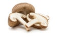 Shitake Mushrooms Royalty Free Stock Photo