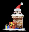 Shitzu dog with christmas candy climbs out of chimney. Isolated on black Royalty Free Stock Photo