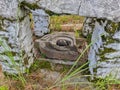 Shiv ling in forest