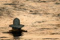 Shivling in Ganga river in Rishikesh